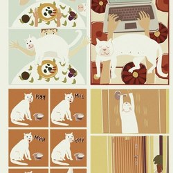 Cat traditions