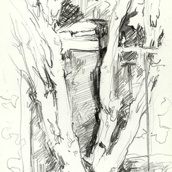 дерево и забор