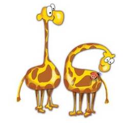 жирафы_2