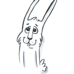 Rabbit