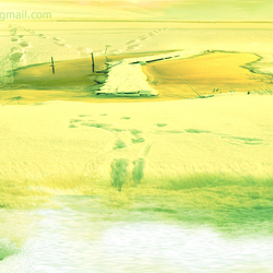 Зеленый снег