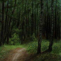 Тропа к елани