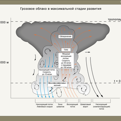 иллюстратор. учебник для пилотов.8