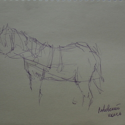 Конь. Львовский конь