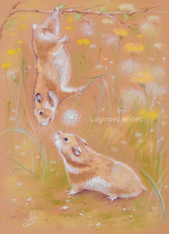 Тайное свидание