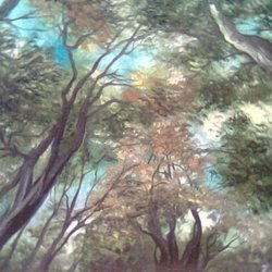 небо в лесу