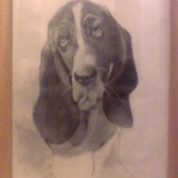 пёсик с грустными глазами