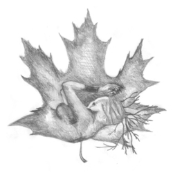 Иллюстрация на шмуц книге стихов