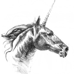 unicorn