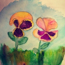 Анютены глазки 