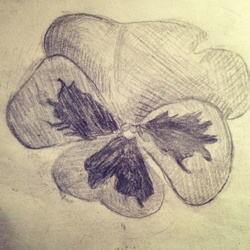 Милый цветок