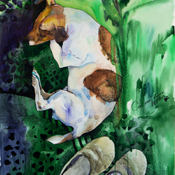 Собака спит.