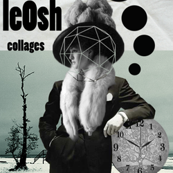 leOsh collages