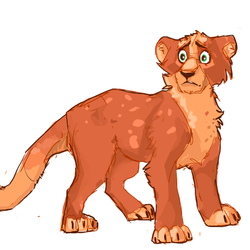 Lion