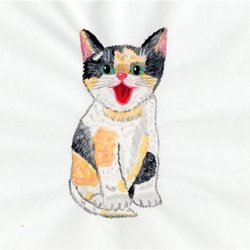 Кошка-черепашка