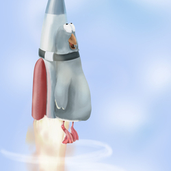 fly on rocket