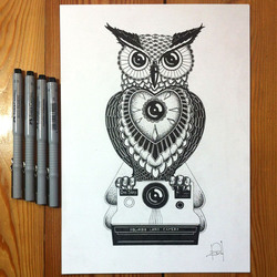 Owl and Polaroid