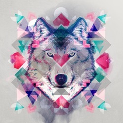 Wolf with love