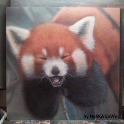 Красная панда