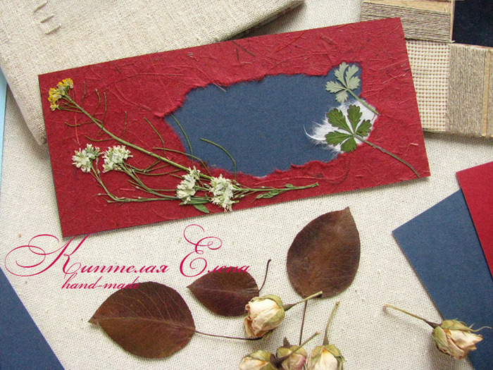 �������� ���