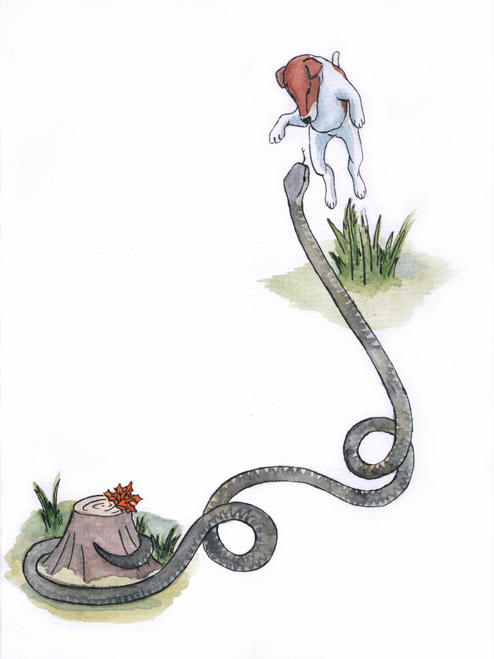 Крылов басни змея. Мальчик и змея басня Крылова. Иллюстрация к басне мальчик и змея. Мальчик и змея басня.