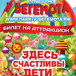 Билет на аттракцион для детского парка аттракционов "У Бегемота"