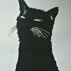 black cat