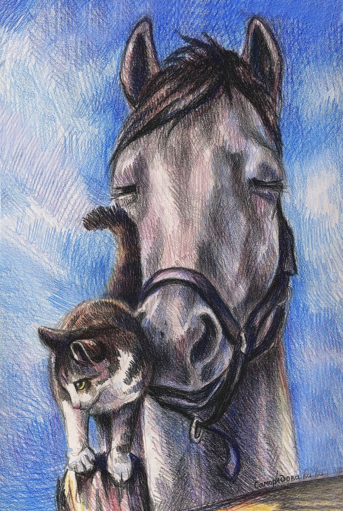 Кошка лошадка. Лошадь рисунок цветной. Рисование лошади. Кот на лошади. Лошадь и кошка.