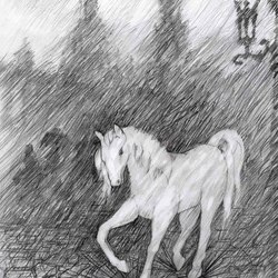 Тот, кто танцует дождь