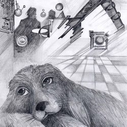 Формула человека