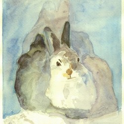 заяц на снегу