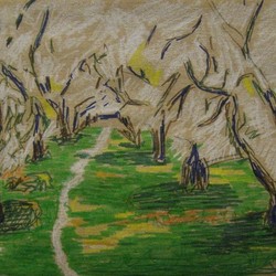 цветущий сад