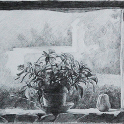 Вид из окна