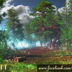 Лес локация