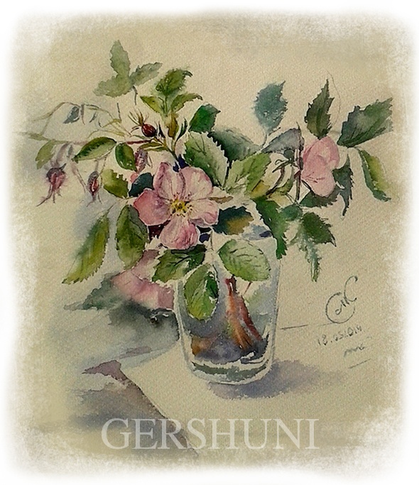 Шиповник (лат. Rōsa)