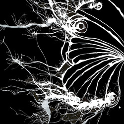 Что во мне 1