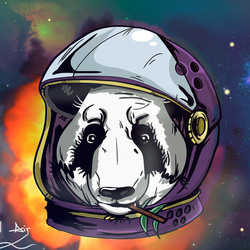 Панда в космосе
