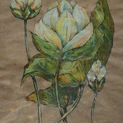 Лотосы.Возрождение.