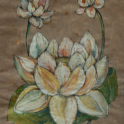 Лотосы. Возрождение.