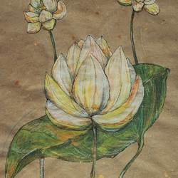 Лотосы.Возрождение