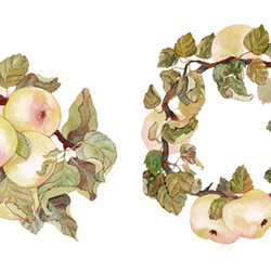 Акварельные яблоки