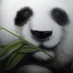 панда, панда))) 