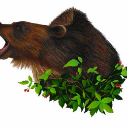 Медведь в кустах