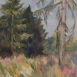 Пленэр - пейзажик