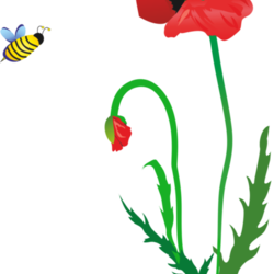 Вектор к приложению Азбука