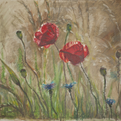 Two poppies