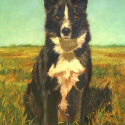 Портрет собаки 2