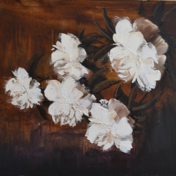  белые пионы