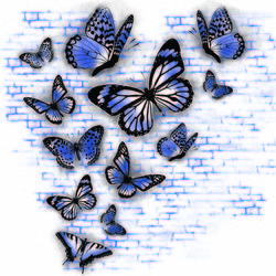 butterfly