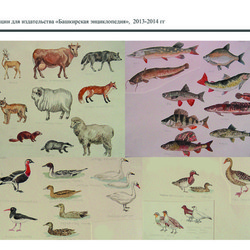 иллюстрации для издательства "Башкирская энциклопедия""